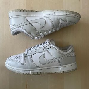 Nike Dunk Photon Dust